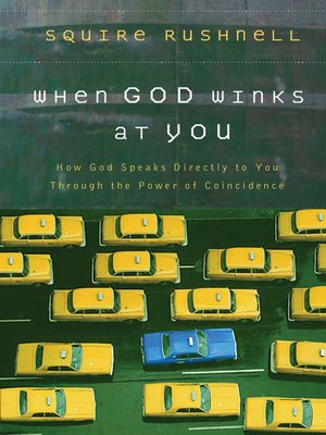 cover image of When God Winks at You